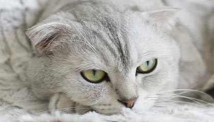 色老三导航:让色彩成为品牌的导航星