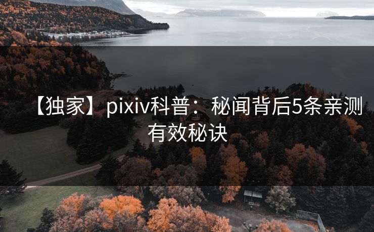 【独家】pixiv科普：秘闻背后5条亲测有效秘诀