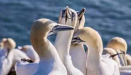 人人看电影:让每一次观影都成为心灵的体验